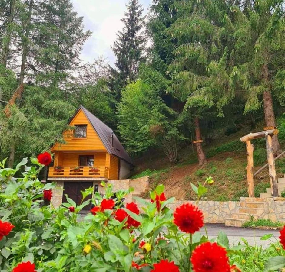 Apartamento Etno Selo Bistrovo Vitez Exterior foto